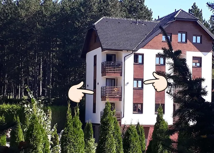 Radojevic Darija Daire