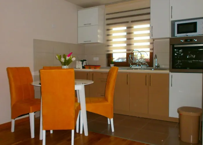 Radojevic Darija Zlatibor