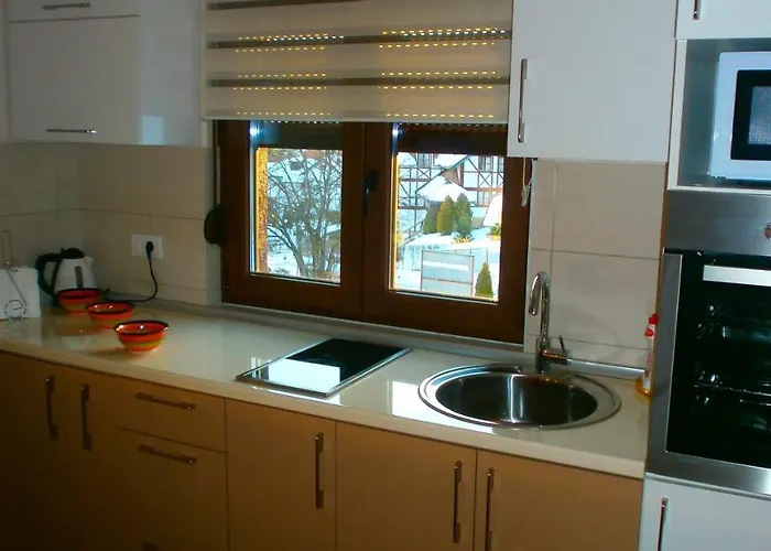 Radojevic Darija Daire